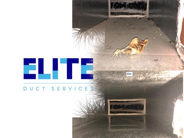 elite duct services