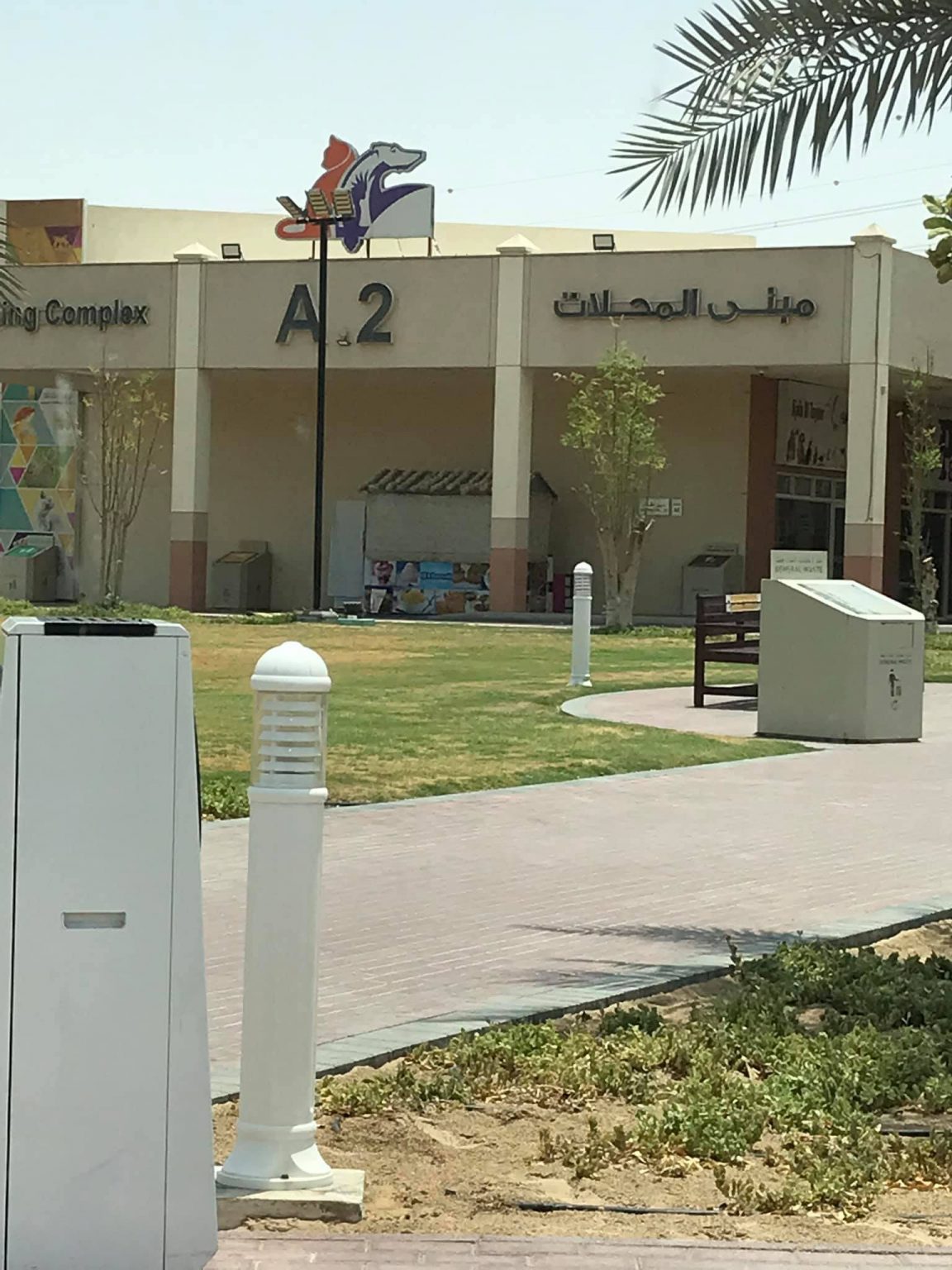 5 Best Birds Store in Dubai Birds Market in Dubai UAE INSURE